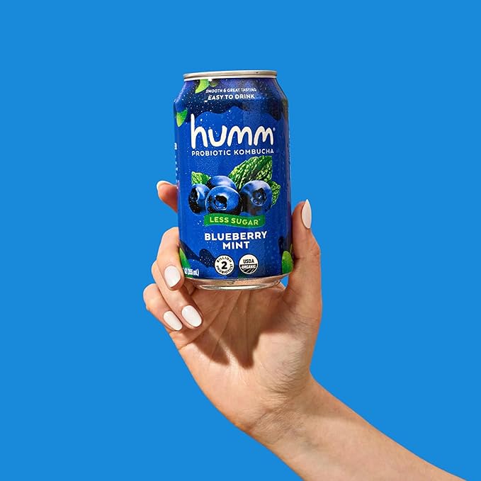 Humm Kombucha Blueberry Mint, Organic, Vegan & GMO Free (24 Pack)