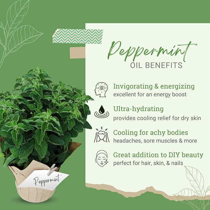 GreenHealth Peppermint Essential Oil β 100% Pure & Uncut Mentha Piperita β 1 Gallon (128 fl oz) β Bulk Size for Candle Making, Soap Making, Aromatherapy, Diffusers, DIY, Home & Office Fragrance