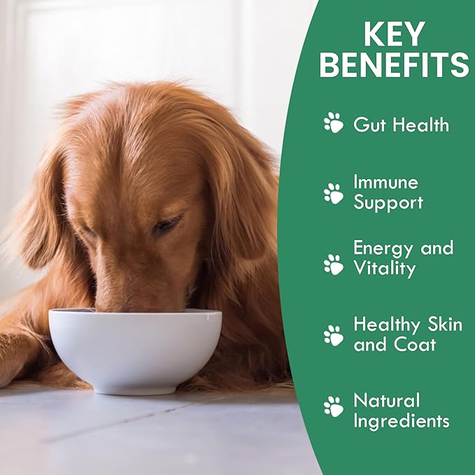 Holistic Bin Canine Beef Liver – Gut Health, Wellness Protection, Energy, Vitality, and Shiny Coat – Superfood for Dogs – Rich in Nutrients, Vitamins & Minerals – 50 Grams