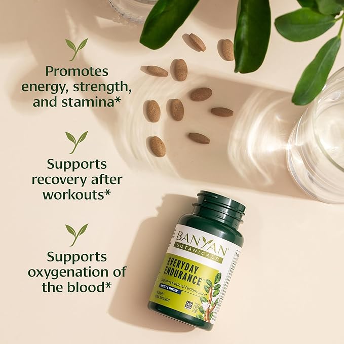 Banyan Botanicals Everyday Endurance – Organic Adaptogens Supplement – Herbal Superfoods and Adaptogens for Energy and Focus – 90 Tablets – Non-GMO Sustainably Sourced Vegan