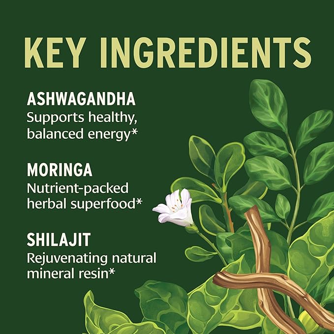 Banyan Botanicals Everyday Endurance – Organic Adaptogens Supplement – Herbal Superfoods and Adaptogens for Energy and Focus – 90 Tablets – Non-GMO Sustainably Sourced Vegan