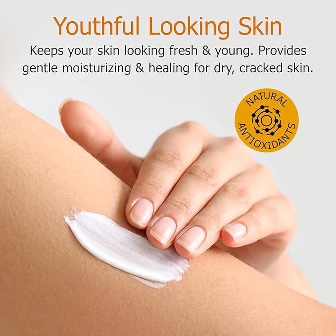 Fruit of the Earth | Vitamin E lotion 16 oz (6pack) | with Natural antioxidants