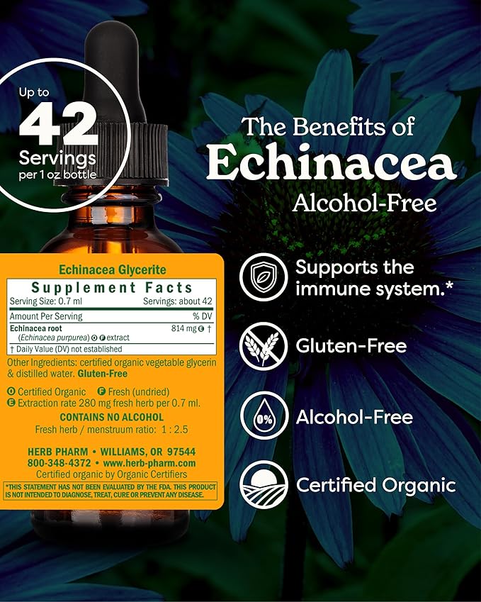 Herb Pharm Organic Echinacea Root Extract, Alcohol-Free: Immune System Support for All Seasons, Fast-Acting Echinacea Plant Supplement, Non-GMO, Vegan & Gluten-Free, 1 Oz