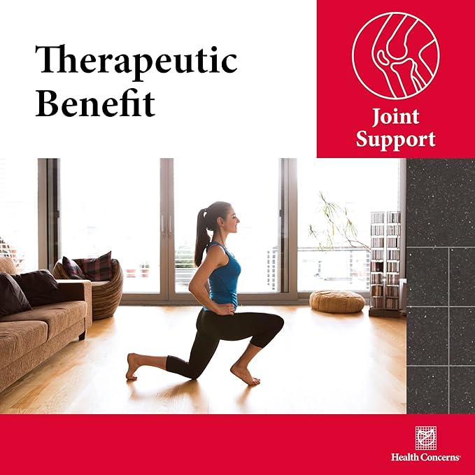 Health Concerns Mobility 2 – Joint Health Support Supplement for Men & Women – Chinese Herbal Circulation Support – Natural Joint & Muscle Aid – Herbal Extracts – 90 Capsules