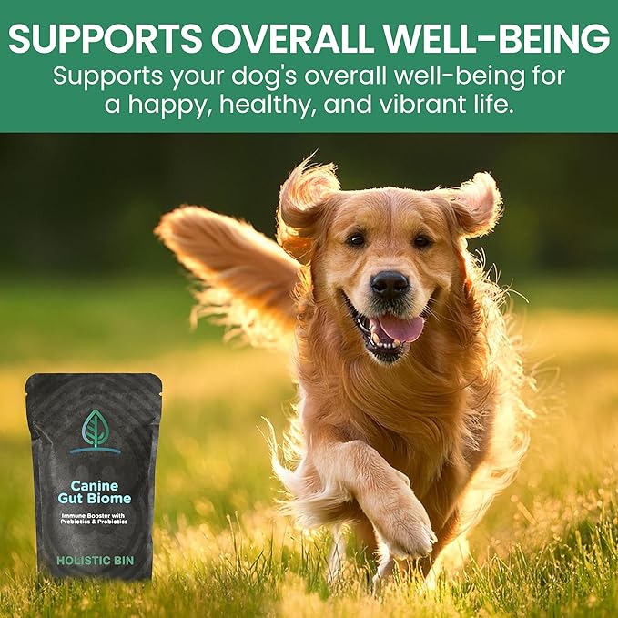 HOLISTIC BIN Canine Gut Biome Powder – Prebiotics & Probiotics for Dogs with Enzymes – Dog Vitamins & Multivitamin for Gut Health – Enzyme Powder Supplement – for Digestive Support - 50 Grams