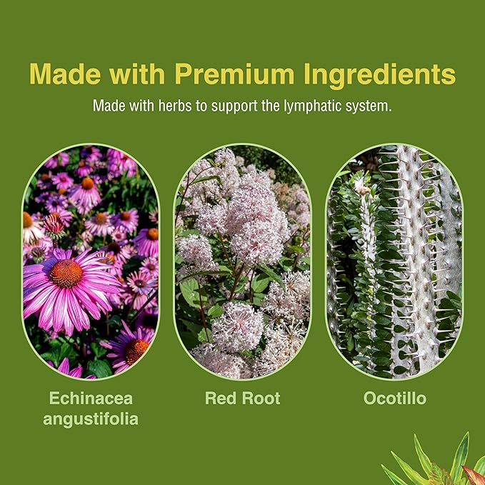 Herbs Etc. Lymphatonic Softgels - Lymph System Support - Support a Healthy Lymphatic System - Gluten-Free Herbal Supplement - 60 Softgels (60 Servings) - 2 Pack