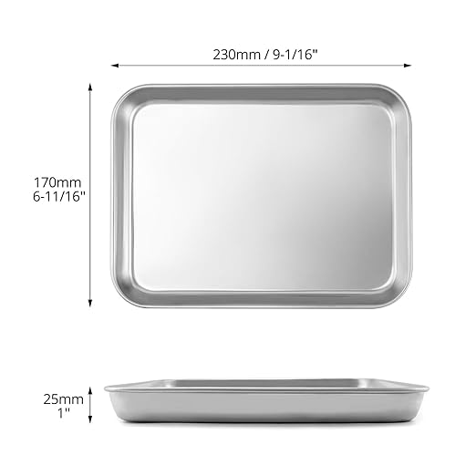 QWORK 2 Pack Stainless Steel Surgical Tray, for Medical Instruments, Tattoo, Surgical Supplies, 10 5/8" x 6 11/16" x 1 5/16", Flat Bottom Tray