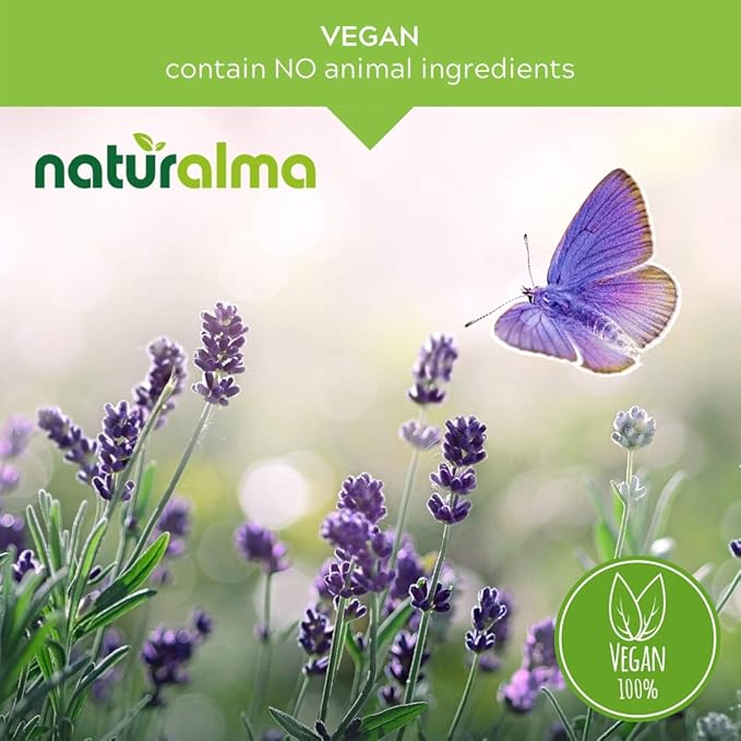 Naturalma Dandelion (Taraxacum officinale) Root and herb Alcohol-Free Tincture - 16.9 fl oz Liquid Extract in Drops - Herbal Supplement - Vegan