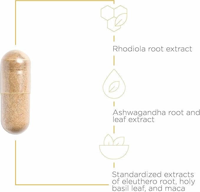 Integrative Therapeutics HPA Adapt - Adaptogenic Supplement for Stress Support* - Includes Ashwagandha, Rhodiola & Other Adaptogenic Herbs* - Vegan, Dairy-Free & Gluten-Free - 240 Capsules