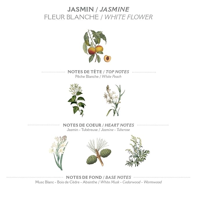 Panier des Sens Jasmin Hand Cream - Nourishing Shea Butter Hand Cream for Dry Cracked Hands 97% Natural Ingredients - Dermatologically Tested Hand Lotion for Woman Made in France, 2.5 fl oz
