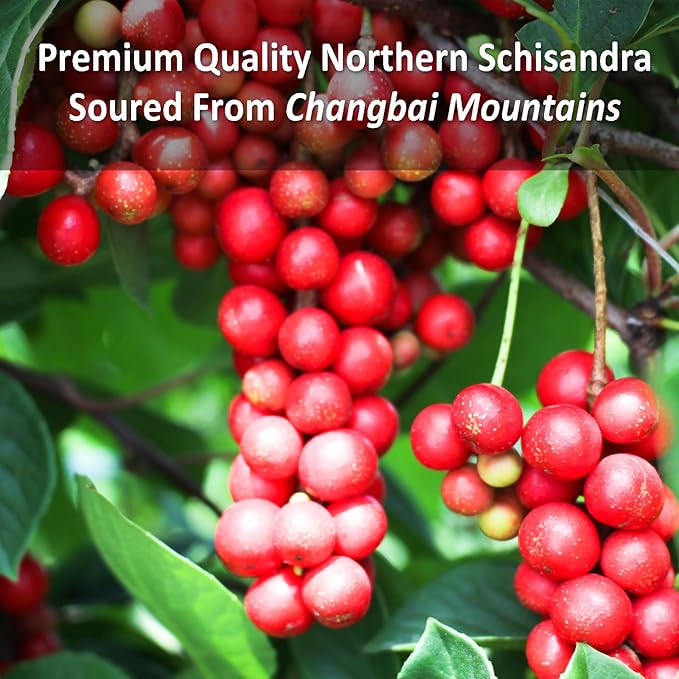 MAYKER Schisandra Berry 8.8OZ (250grams) | Sun-dried Schisandra Berry for Tea | Tart Flavor Base for Beverages, Mocktails