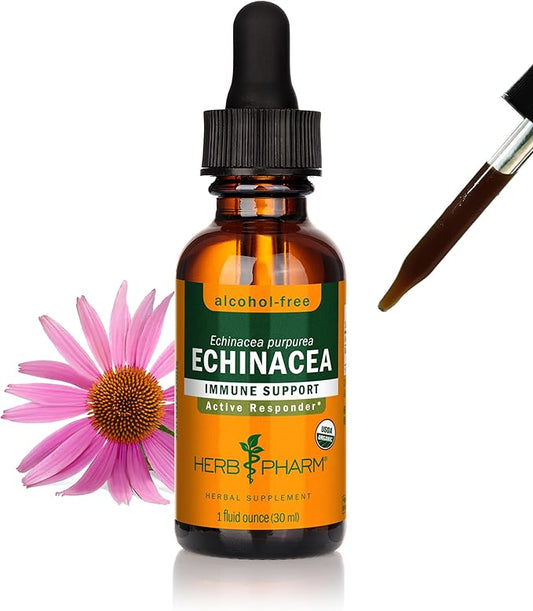 Herb Pharm Organic Echinacea Root Extract, Alcohol-Free: Immune System Support for All Seasons, Fast-Acting Echinacea Plant Supplement, Non-GMO, Vegan & Gluten-Free, 1 Oz
