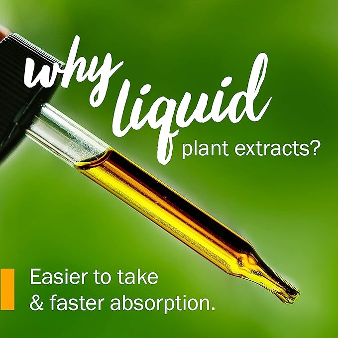 Herb Pharm Devil's Club Liquid Extract - 1 Ounce
