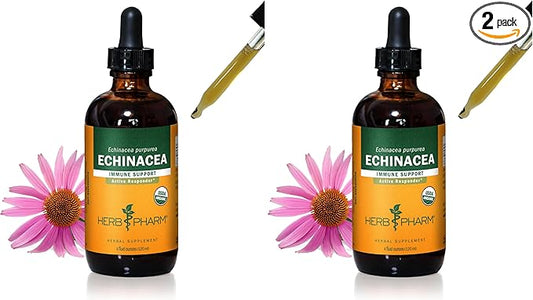Herb Pharm Certified Organic Echinacea Root Liquid Extract for Immune System Support, Organic Cane Alcohol, 4 Ounce (Pack of 2)
