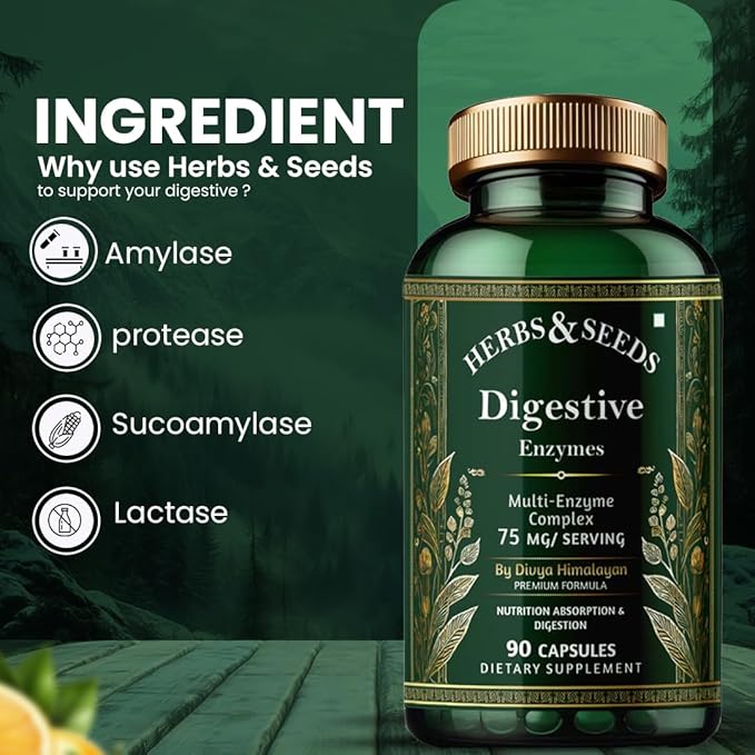 HERBS & SEEDS Digestive Enzyme Capsules Support Digestion & Gut Health Promote Metabolism - for Men & Women - 90 Capsules