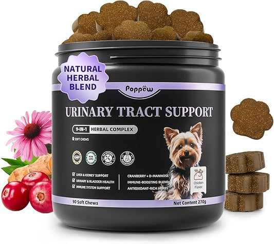 Cranberry Supplement for Dog UTI Treatment - Bladder Control - Urinary Tract Health + D-Mannitol for Bladder Stones, Incontinence & Kidney & Immune Support - Chicken Flavor - 90 Ct Soft Chews