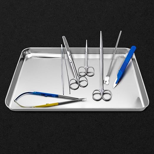 QWORK Stainless Steel Surgical Tray, for Medical Instruments, Tattoo, Surgical Supplies, 15-3/4 x 11-13/16 x 1", 2 Pack