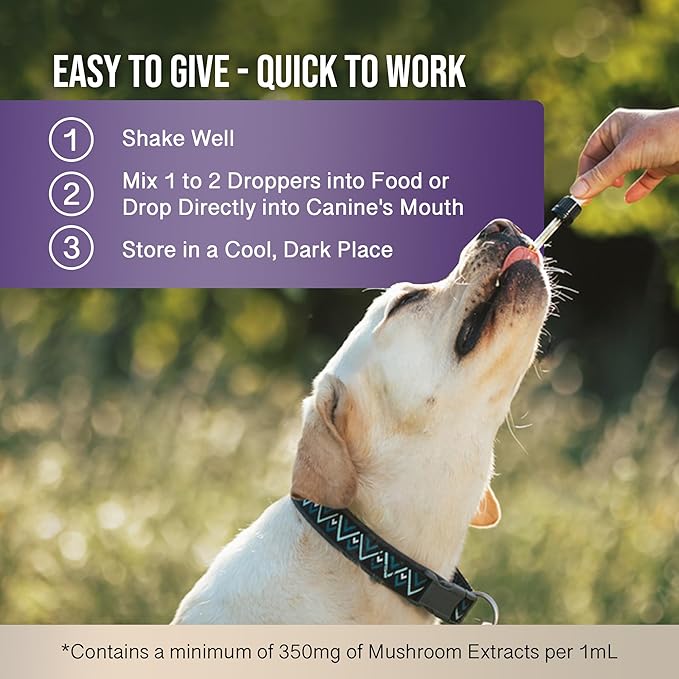 MycoDog Clarity - Mushroom Extract & Adaptogen Tincture for Canines - Ashwagandha Supplements for Nervous, Mental, & Emotional Support - Reishi, Cordyceps, & Lions Mane Supplement