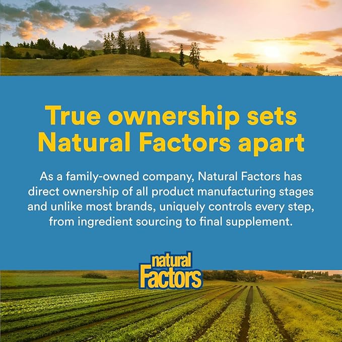 Natural Factors N-Acetyl-L-Cysteine 500 mg, Superior Antioxidant Support for Respiratory & Immune Systems, 90 Capsules