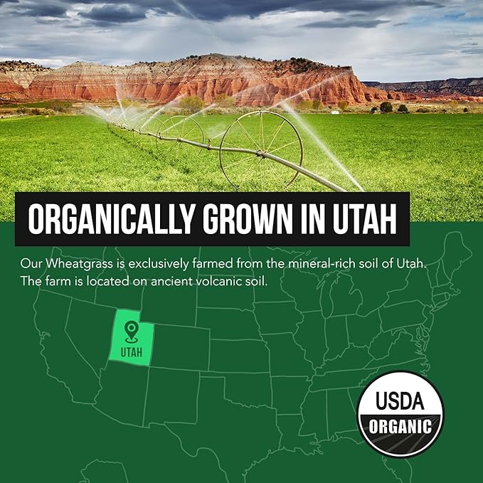 Organic Wheatgrass Juice Powder - Organic, Grown in Volcanic Soil of Utah - Raw BioActive Form, Cold-Pressed Then CO2 Dried, 20:1 Concentrate Juice Extract - Unflavored (5.3 oz – 60 Servings)