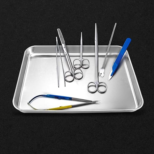QWORK Stainless Steel Surgical Tray, for Medical Instruments, Tattoo, Surgical Supplies, 10 1/4 x 7 7/8 x 1 inch, 1 Pack