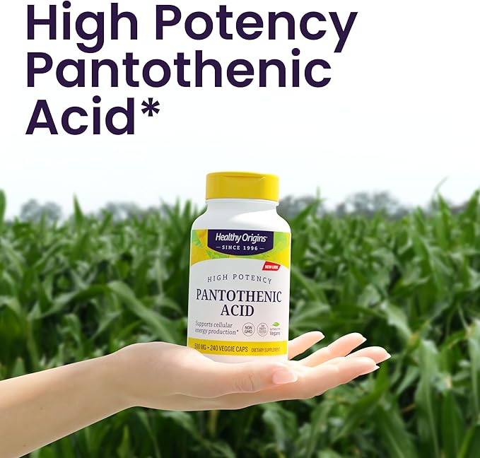 Healthy Origins Pantothenic Acid 500 mg (Vitamin B5, Vegan, Non-GMO, High Strength, Energy Boost and Metabolism Support, Tiredness & Fatigue, Acne Supplement for Skin Care), 240 Veggie Caps