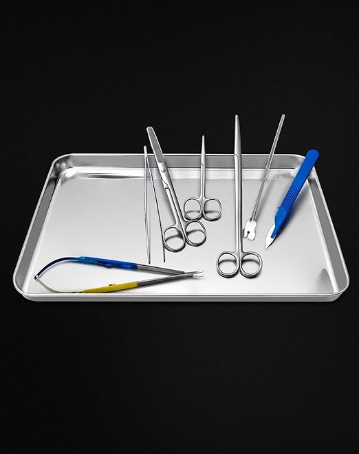 QWORK Stainless Steel Surgical Tray, Flat Bottom Tray, for Medical Instruments, Tattoo, Surgical Supplies, 15 3/4 x 11-13/16 x 1 inch, 4 Pack