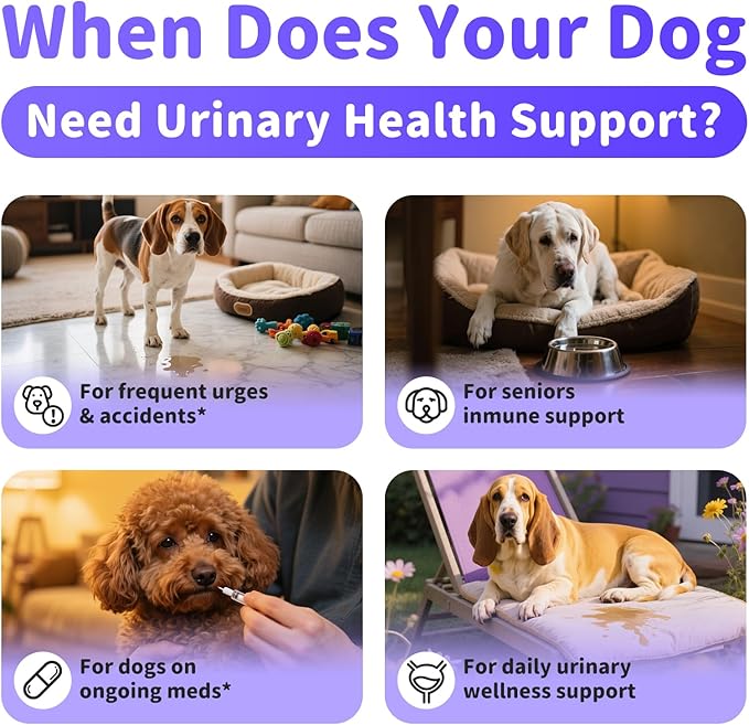 Cranberry Supplement for Dog UTI Treatment - Bladder Control - Urinary Tract Health + D-Mannitol for Bladder Stones, Incontinence & Kidney & Immune Support - Chicken Flavor - 90 Ct Soft Chews