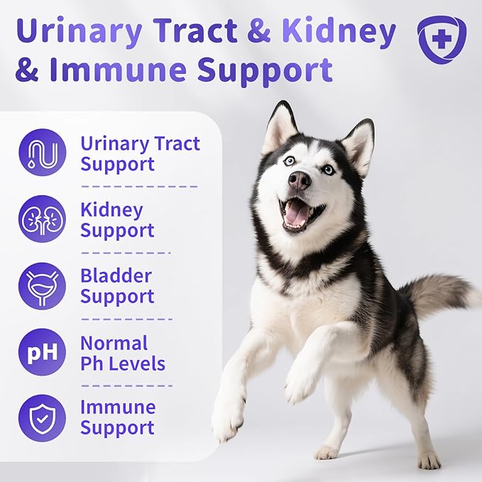 Cranberry Supplement for Dog UTI Treatment - Bladder Control - Urinary Tract Health + D-Mannitol for Bladder Stones, Incontinence & Kidney & Immune Support - Chicken Flavor - 90 Ct Soft Chews