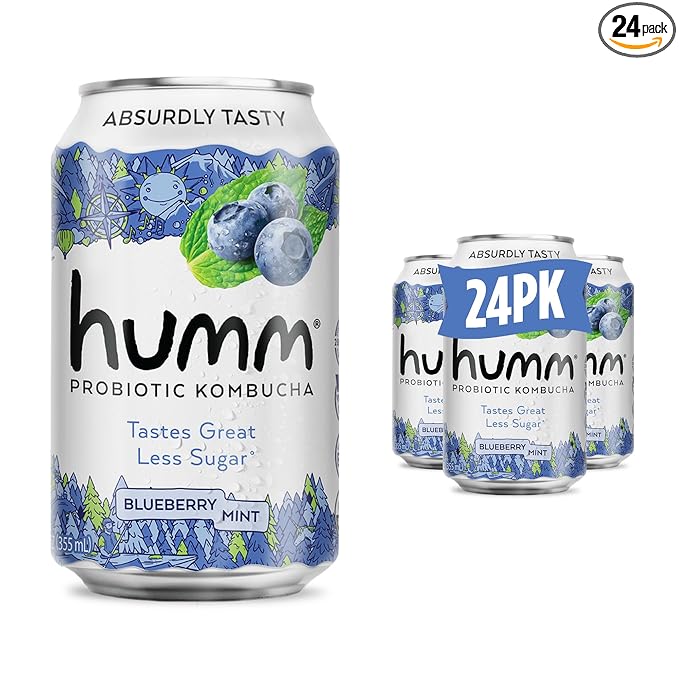Humm Kombucha Blueberry Mint, Organic, Vegan & GMO Free (24 Pack)