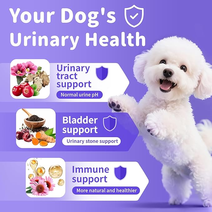 Cranberry Supplement for Dog UTI Treatment - Bladder Control - Urinary Tract Health + D-Mannitol for Bladder Stones, Incontinence & Kidney & Immune Support - Chicken Flavor - 90 Ct Soft Chews
