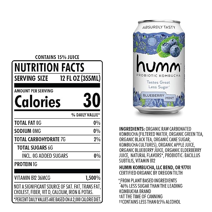 Humm Kombucha Blueberry Mint, Organic, Vegan & GMO Free (12 Pack)
