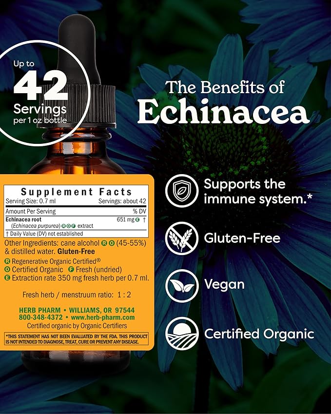 Herb Pharm Certified Organic Echinacea Root Liquid Extract for Immune System Support, Organic Cane Alcohol, 1 Ounce (DECH01)