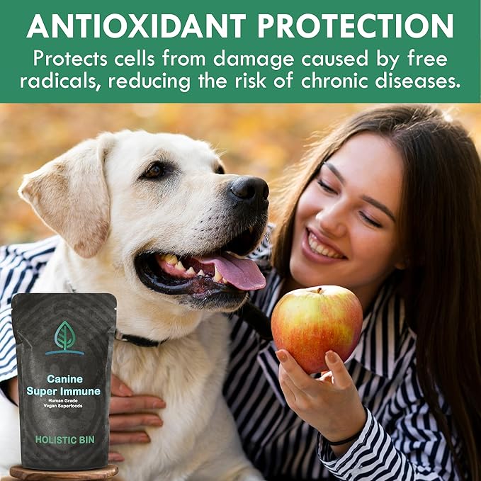 HOLISTIC BIN Canine Super Immune Support - Dog Multivitamins & Supplements with Beet, Chlorella, Mushroom Complex (Reishi, Maitake, Turkey Tail) - for Immune Function & Overall Health - 100g Powder