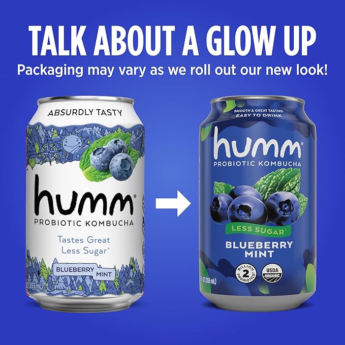 Humm Kombucha Blueberry Mint, Organic, Vegan & GMO Free (24 Pack)