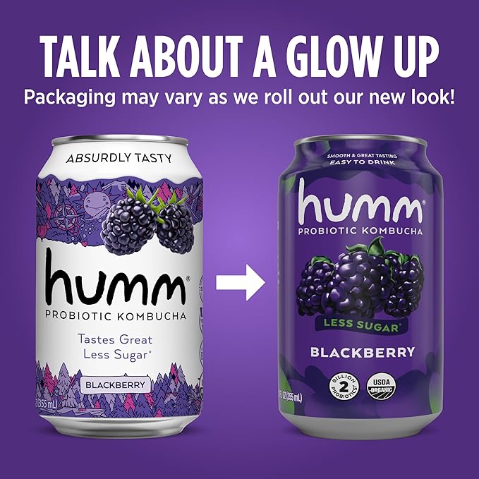 Humm Kombucha Blackberry, Organic, Vegan & GMO Free (24 Pack)