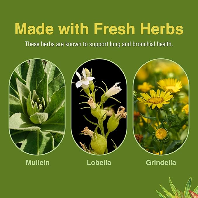 Herbs Etc. Lung Tonic - Lung Supplement for Bronchial Support - Healthy Breathing Support with Mullein, Horehound & Grindelia - 120 Softgels - 2 Pack