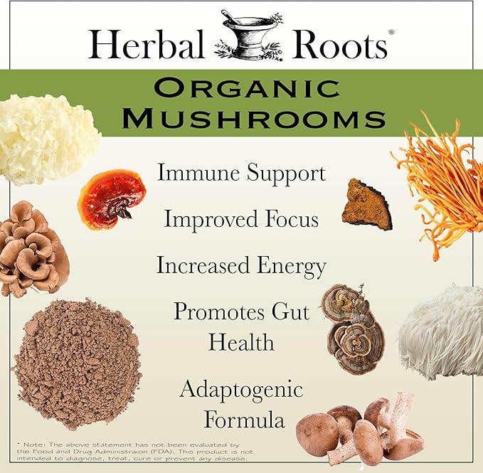 Herbal Roots Brain Health Duo, Organic Mushrooms and Organic Ginkgo Biloba, Powerful Boost for Brain Health, Non-GMO