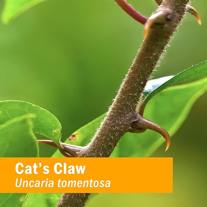 Herb Pharm Cat's Claw (UNA de Gato) Liquid Extract for Immune System Support - 1 Ounce