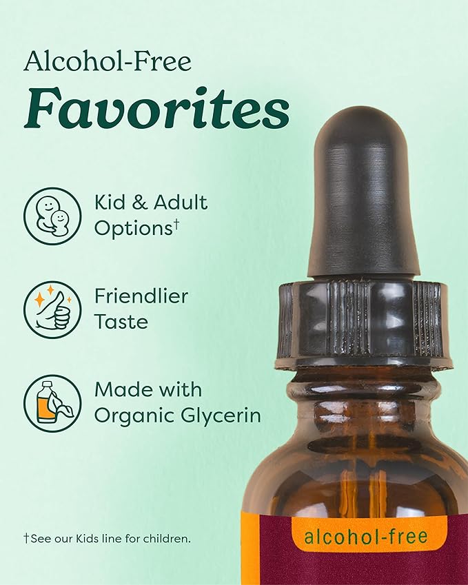 Herb Pharm Organic Kids Herbal Hug: Nervous System Support with Skullcap, Passionflower, Mullein & Oat Seed | Fast-Absorbing & Alcohol-Free, Kid-Friendly Taste, Extract for Kids, 1 oz*