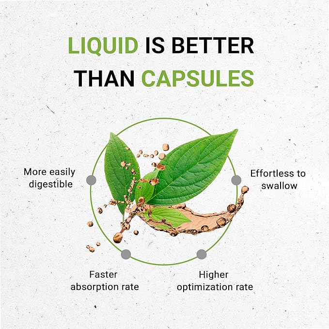 Secrets of the Tribe Artichoke Tincture Alcohol-Free Liquid Extract, Artichoke (Cynara scolymus) Dried Leaf (4 FL OZ)