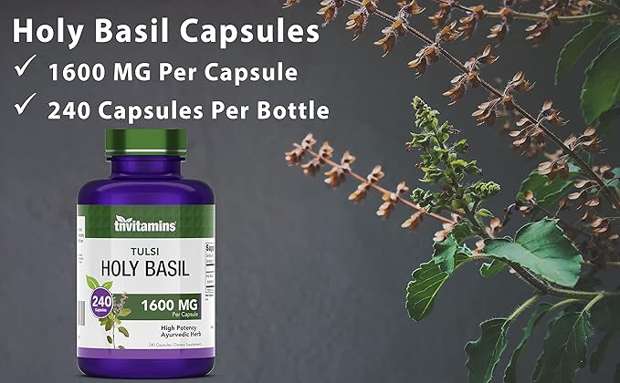 Holy Basil Capsules (1,600 mg Equivalent - 240 Capsules) | 8 Month Supply | AKA Tulsi | May Promote Stress & Frustration Relief* | Adaptogenic, & Ayurvedic Herb