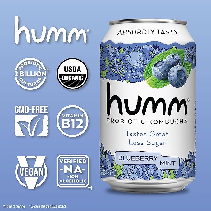 Humm Kombucha Blueberry Mint, Organic, Vegan & GMO Free (24 Pack)